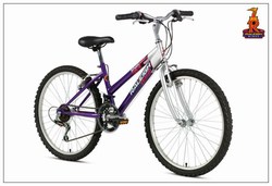 RALEIGH - KRUSH 13 24 �119.99