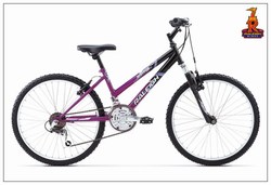 RALEIGH - RAPTOR 13 24 GIRLS £129.99